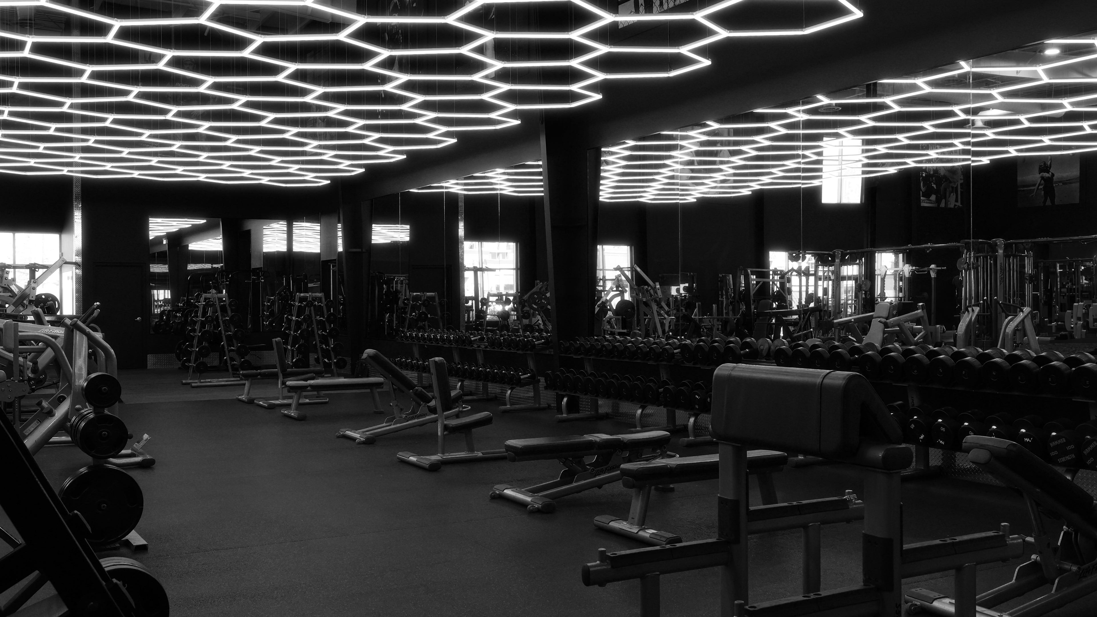 Gym floor, under the lights, Viking Strength Equipment, personal training, memberships